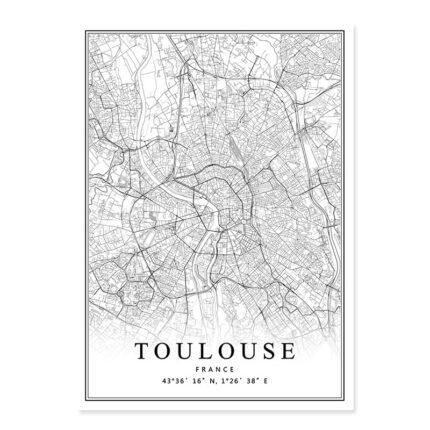 Toile ville satellite Toulouse 10